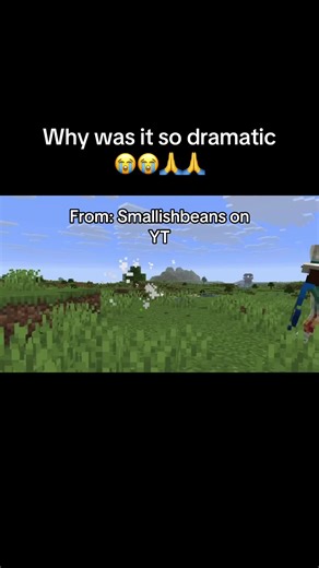 Bro has too much time on his hands😭😭 #mcyt #hermitcraft #smallishbeans #grian #bdoubleo100