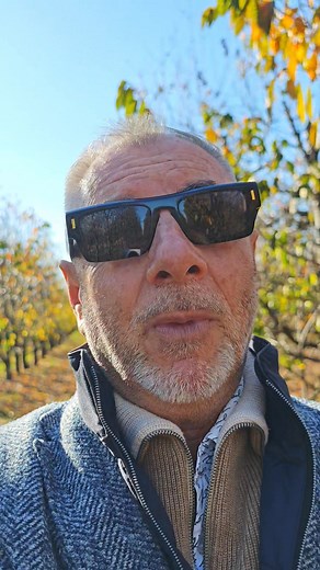 8 perc szakma❤️. Áfamentes. Mit,mikor metszünk? És főleg: miért?! | Bács-Zöldért Zrt.