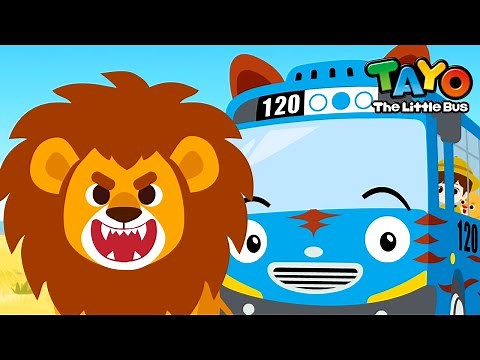 Safari Bus Tayo Full Compilation (+60 mins) l Learn Animals with Vehicles l Tayo English Episodes