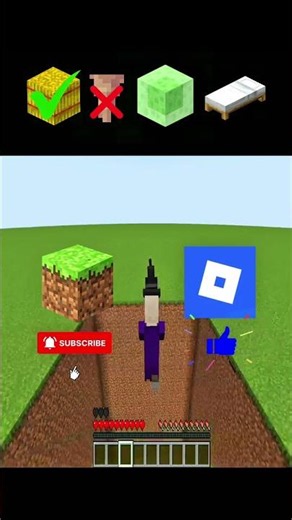 Testing Minecraft Witch VS Fall Damage?😱