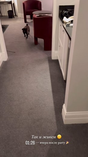 Party 😆😆😅 #party | Pug Happiness