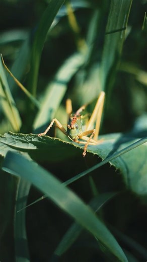 Captured amazing nature with the Canon EF 50mm f/1.8