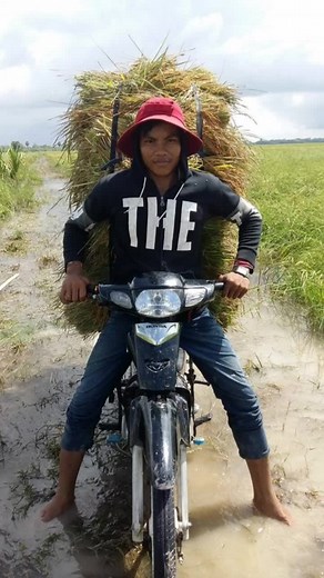 The X-NANO-X Finning & Filthing Cream Review