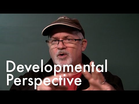 Developmental Perspective