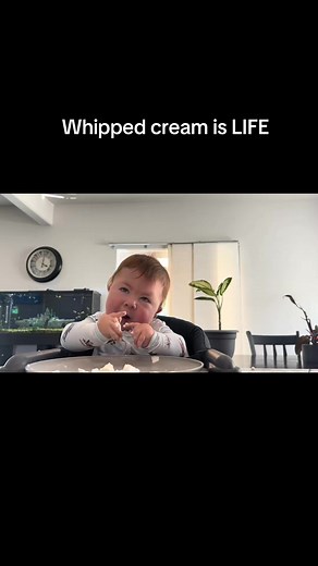 This boy could eat whipped cream all day #gtube #whippedcream #tastet...#Reel #Fbreel #Shorts #Viral | Nhomaha