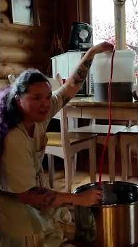 DIY blueberry mead progress