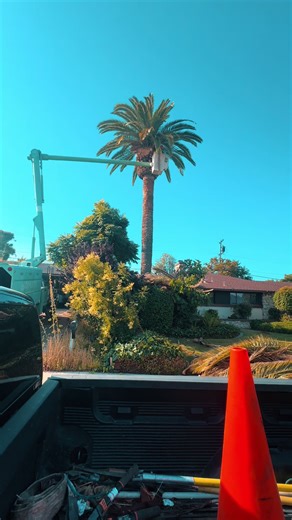 Got a tree problem? We’ve got the solution. 💪🌳 New Era Tree Service Corp — reliable, professional, and local. Call us today and we’ll take care of the rest. 661 2057575#bakersfield #bakersfieldcalifornia #kerncounty #kerncountyhomes #homeimprovement