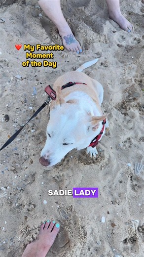 One of my favorite moments from our trip to Calvert Cliffs. ❤️🐾