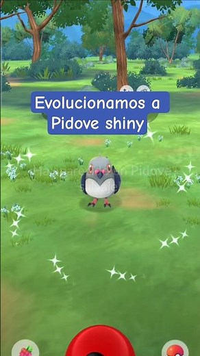 ¡Captura y Evolución de PIDOVE SHINY en Pokémon GO! (Variocolor)