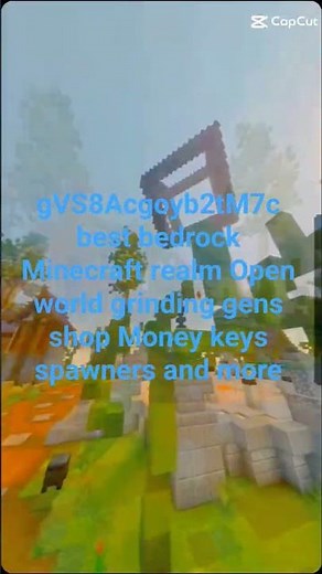 Minecraft realm codes bedrock realm