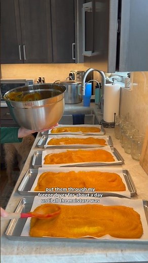 Making & freeze drying pumpkin! #freezedryingpumpkin #pumpkinpuree #freezedriedpumpkin