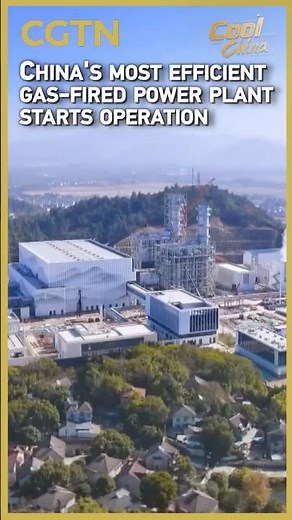China's most efficient gas-fired power plant starts operation