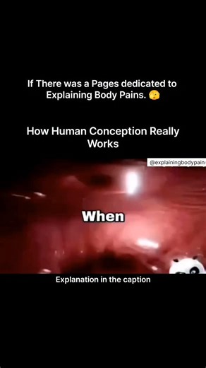 Explaining Biology on Instagram: "Conception is the remarkable biological process where a new human life begins. It starts when a sperm cell successfully reaches and penetrates a mature egg in the female reproductive tract. Out of millions of sperm released, only one is able to fertilize the egg, combining genetic material from both parents. This union forms a zygote, a single cell that carries a complete set of DNA. The zygote then begins dividing rapidly while traveling toward the uterus, tran