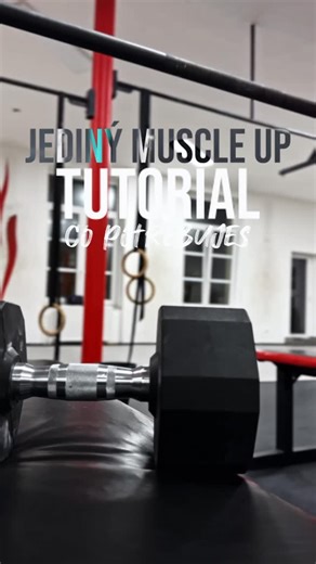 Philip Holubec on Instagram: "Jediný Muscle up tutorial co potřebuješ😏 . . . #calisthenics#muscleup#calisthenics#tutorial"