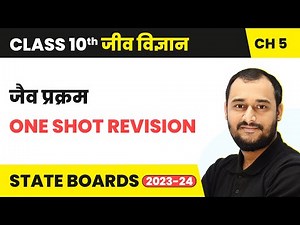 Life Processes (जैव प्रक्रम) - One Shot Revision | Class 10 Biology Chapter 5 | State Boards