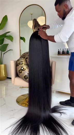 Amazing Animal Salon Transformations – Part 2! ✂️🐶