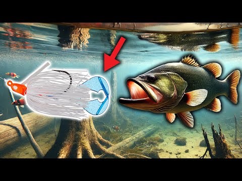 Fall Jig Fishing for Bass is DEADLY (3 Secrets + My #1 Color)