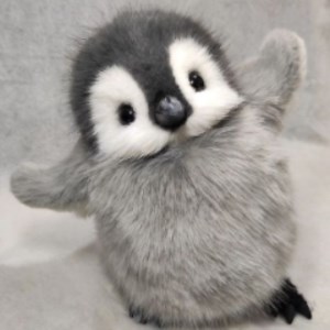 Slizer_RL - Twitch