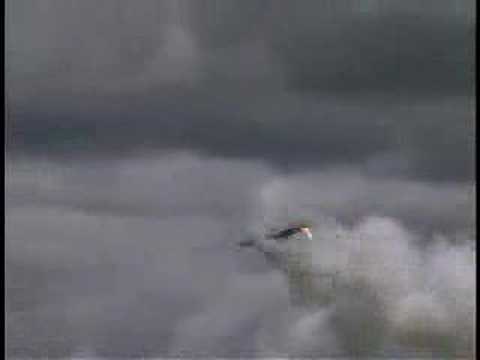 World's largest Monocopter