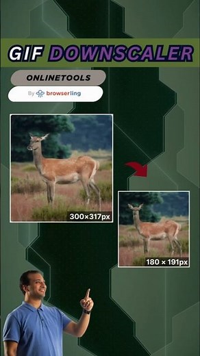 How to Reduce GIF Size in Just One Click. GIF Downscaler
