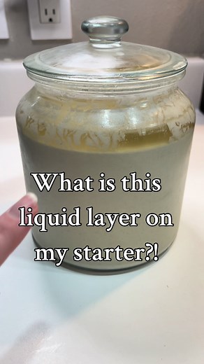 Sourdough starter hooch! What it is, why it happens, and what to do with it! #sourdough #sourdoughtips #sourdoughstarter #dehydratedsourdoughstater #activestarter #sourdoughscoring #sourdoughbaker #sourdoughbakery #sourdoughtutorial #sourdoughtipsandtricks #sourdoughbread #sourdoughhowto #beginnersourdough #sourdoughbeginner #sourdoughforbeginners #sourdoughbaking #allaboutsourdough #sourdoughreels #sourdoughforbusymoms