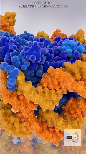 Histone Acetylation simplified