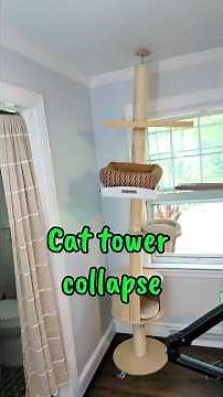 Why I got rid of my floor-to-ceiling cat tower and replaced it with something safer!