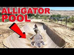 How I Built An Alligator House!