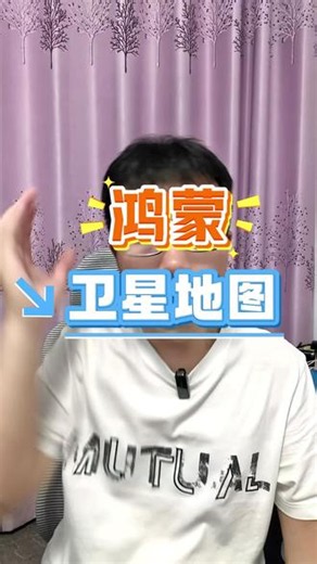 鸿蒙专属的高清卫星地图 比普通地图清晰太多了吧#新知卫星地图 #鸿蒙 #鸿蒙应用