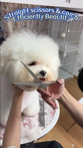 ⏳ all-day salon reliable shears | consistent perfect trimming for many dog breeds ✨