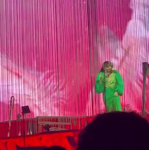 20K views · 1.4K reactions |  Björk en su primera presentación ‘Cornucopia’ 2023 en el Perth Festival  | Vökuró | Facebook