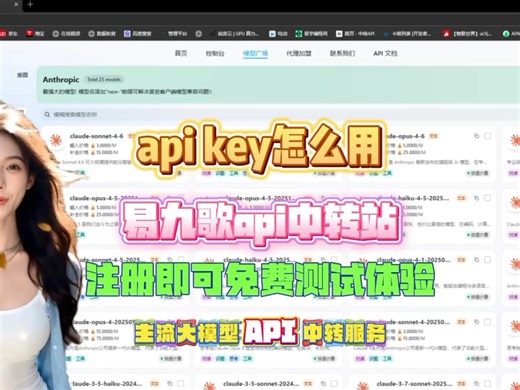 api中转站-api key怎么用