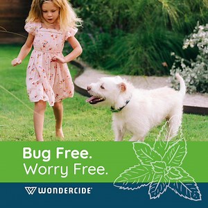 75 reactions · 17 shares | Enjoy backyard hangouts with loved ones this spring. These proven-to-work sprays kill and repel mosquitoes, fleas, ticks, and ants. So go on, you got this! Then get to relaxing 珞. | Wondercide | Facebook