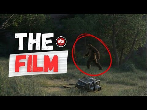 The Patterson–Gimlin Film: The Bigfoot Footage Experts Still Can’t Explain