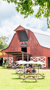 16K views · 296 reactions | What must-do Franklin activities did we miss? Comment "Franklin" to get your FREE copy of our 2024 Vacation Guide and discover all that Williamson County has to offer! . . #FranklinTN #VisitFranklinTN #MadeInTN | Visit Franklin, TN | Facebook