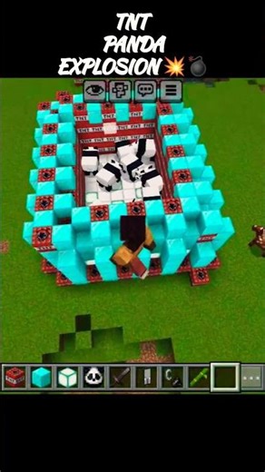 🐼💣 TNT Panda Explosion Gone Wrong! 😱🔥
