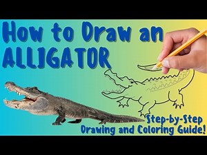 How To Draw An Alligator - Fun & Easy Step-by-Step Drawing and Coloring Guide