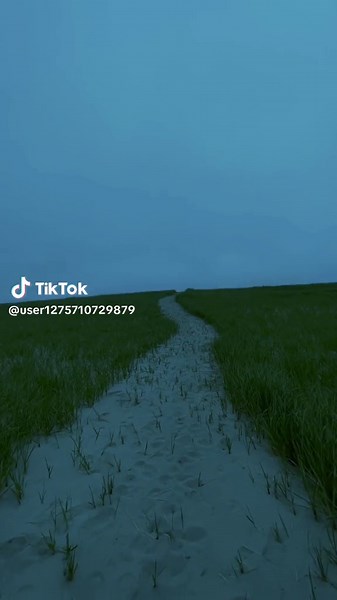 Bug (@user1275710729879)’s videos with alison dilaurentis - ☆ k