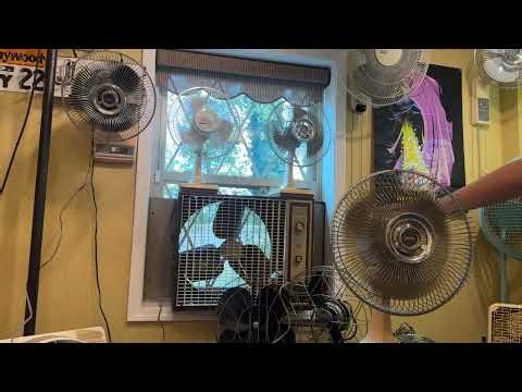 Lasko 12" GSA Table Fan x4