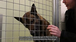 34K views · 486 reactions | How do we keep our team of police dogs...