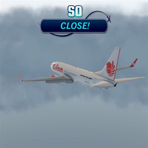 The Pilot Tried to Abort the Landing | MenTour Pilot