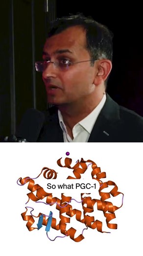 2.4M views · 106 reactions | Increased muscle strength, energy, and cellular renewal with Mitopure® in a new, sugar-free strawberry gummy. | Timeline Longevity | Facebook