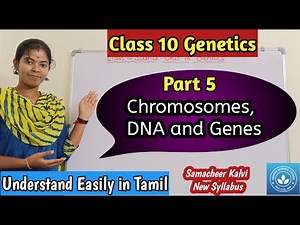 Chromosomes, DNA and Genes| Class 10 Science Unit 18 Genetics