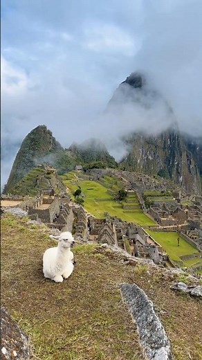 Machu Picchu, Peru 🇵🇪