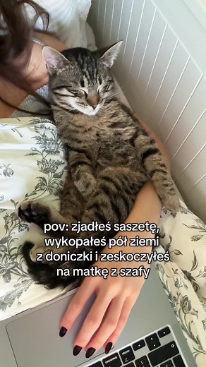 😮‍💨 #kociesprawy #cat #tabbycat #fyp #forypupage