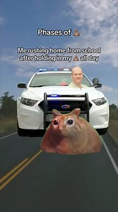 Cat Memes Part 89! Taking a 💩.😂 HI PLEASE FOLLOW OUR YOUTUBE CHANNEL!! 🐈🤍 https://youtube.com/@Memes_Ph1?si=bLyJB24b24_Knebj #fypシ゚ #memes #fyp #memesdaily #reels | MemesPh