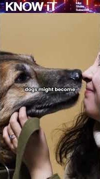 How Would Dogs Behave 1,000 Years From Now?