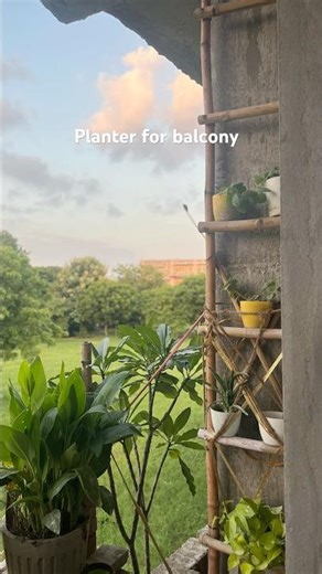 How to Make planter by bamboo #plants #diy #greenhome