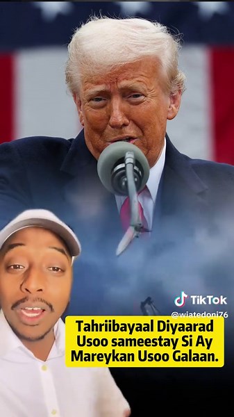 #greenscreenvideo #usa | green screen video