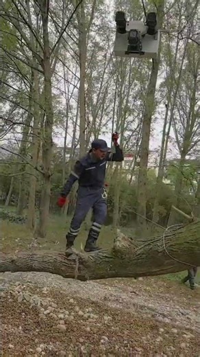 Steel wire rope wood aerial handling machine- Good tools and machinery can increase work efficiency